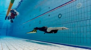14-15 октября Кубок Москвы CMAS по апноэ