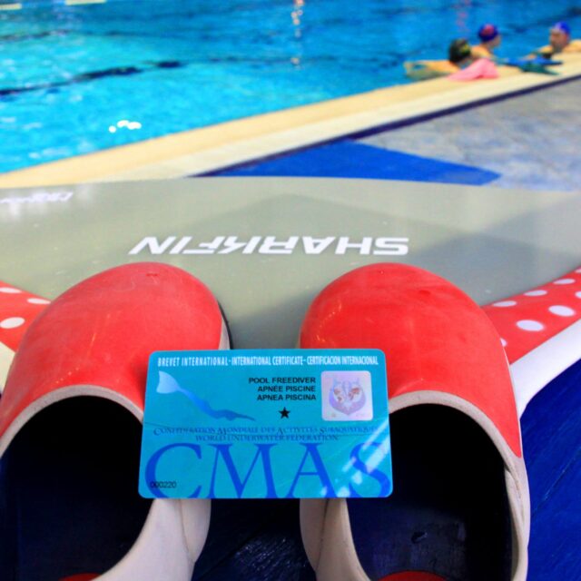 С 16 мая курс для начинающих CMAS pool 1*
