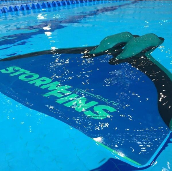 Моноласта StormFins — изображение 7