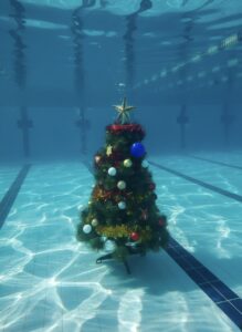 Традиции не меняем: Новогодний марафон Monofin 2025